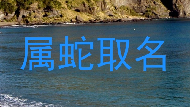 属蛇取名