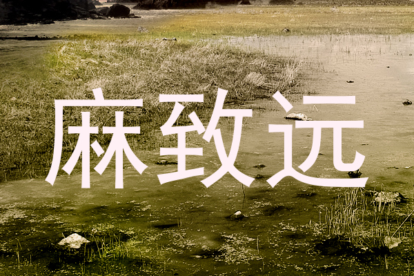 麻致远