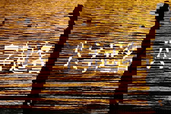 八字起名