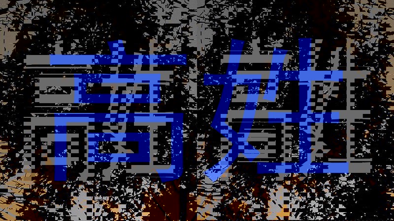 高姓