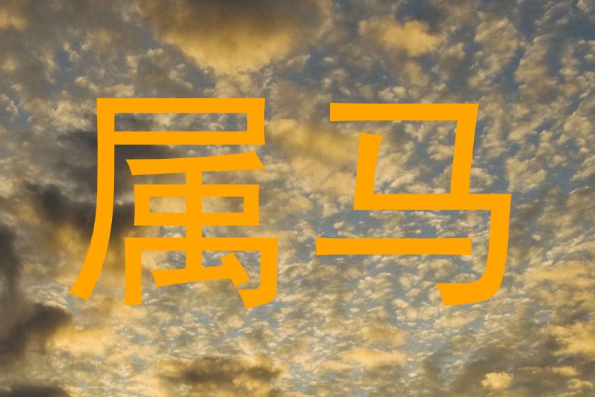 属马