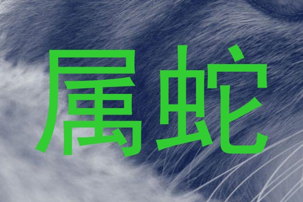 属蛇