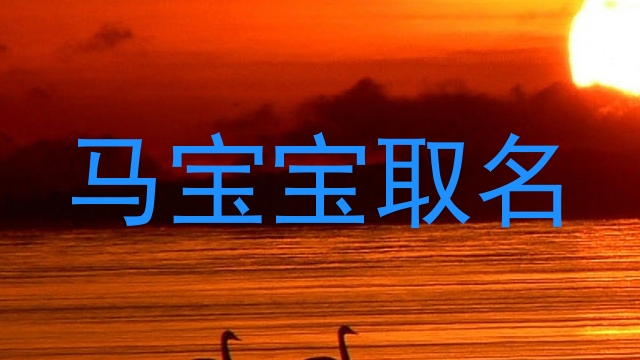 马宝宝取名