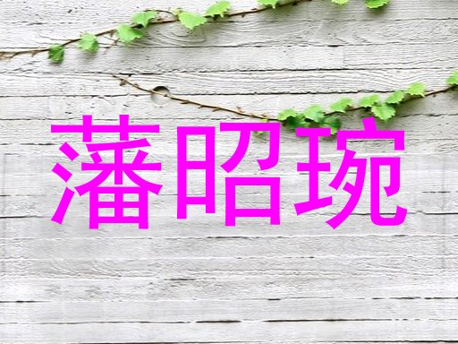 藩昭琬