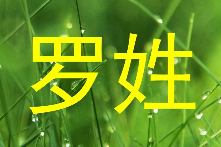 罗姓