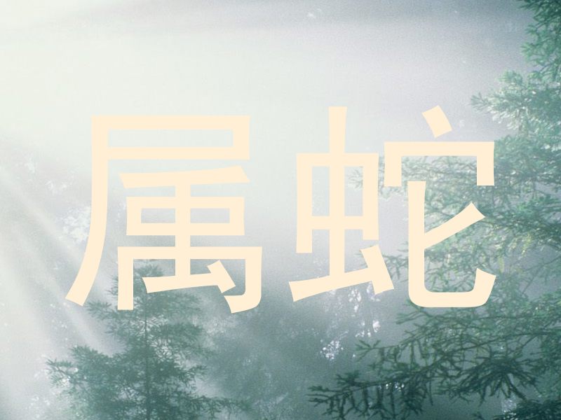 属蛇