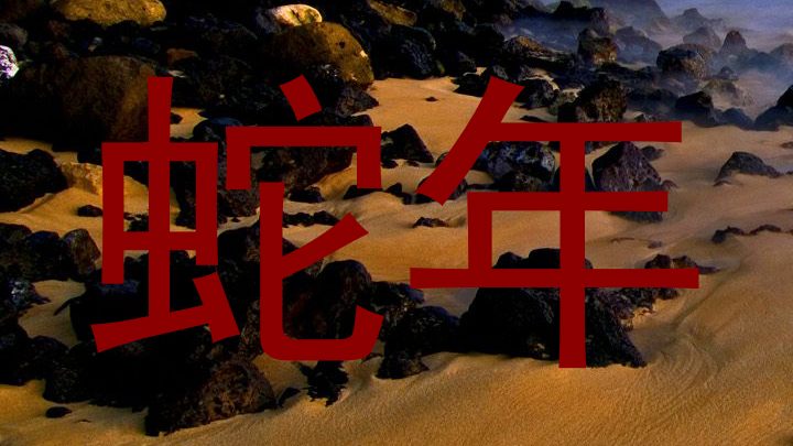 蛇年