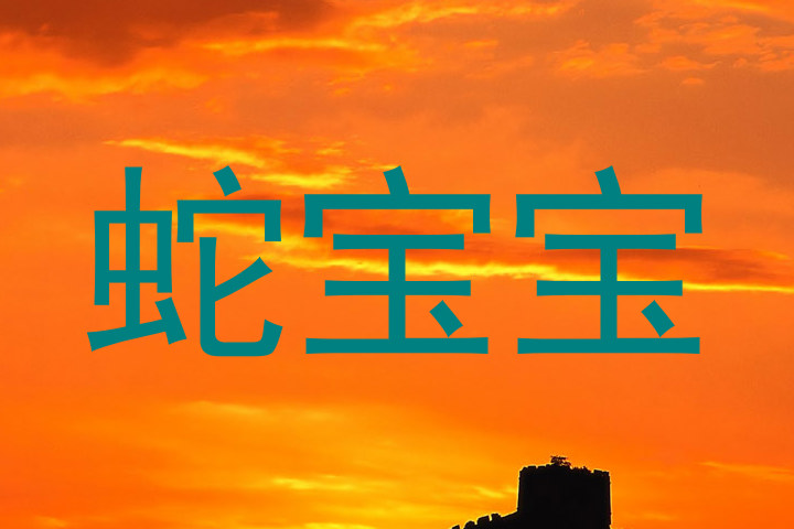 蛇宝宝