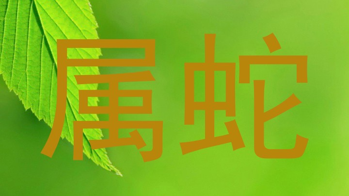 属蛇
