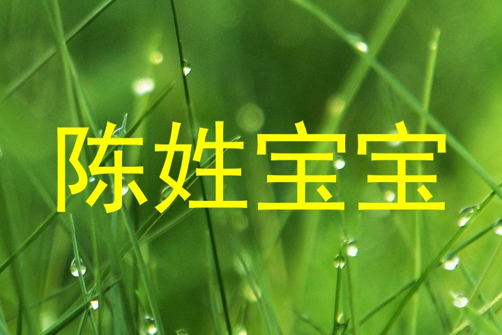 陈姓宝宝