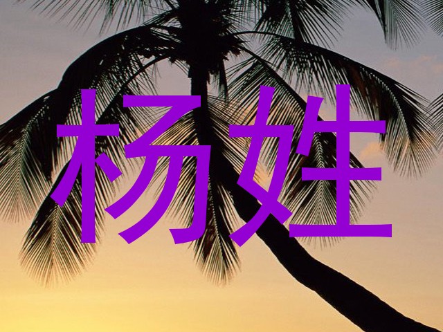 杨姓