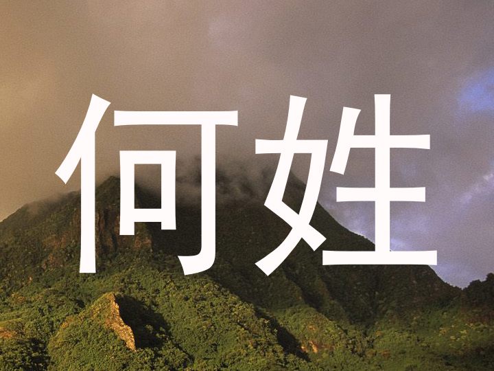 何姓