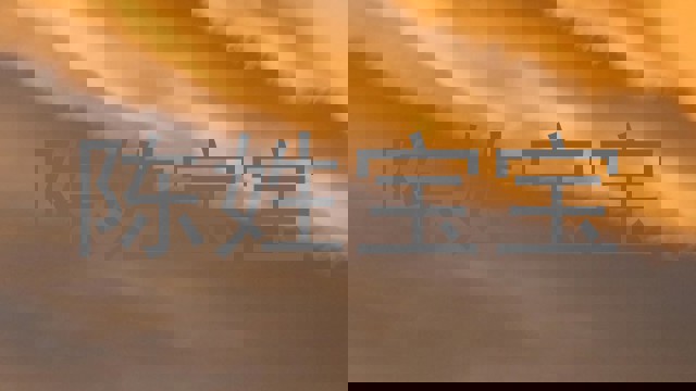 陈姓宝宝