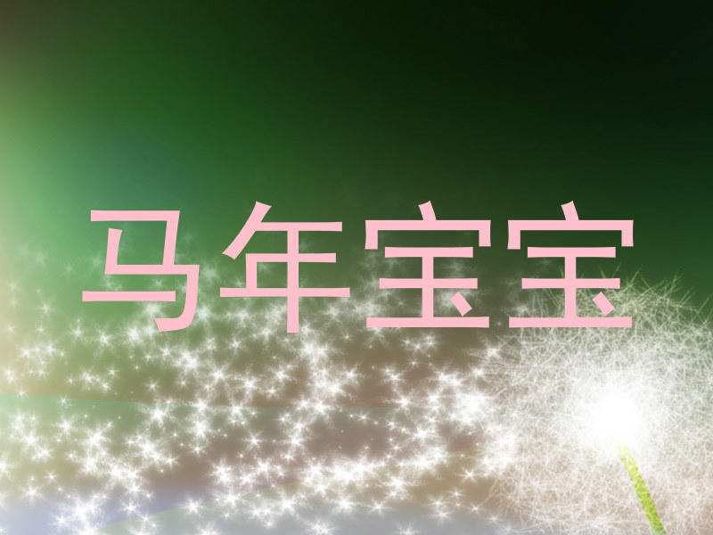 马年宝宝