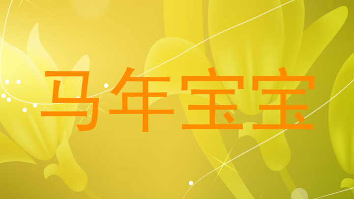 马年宝宝