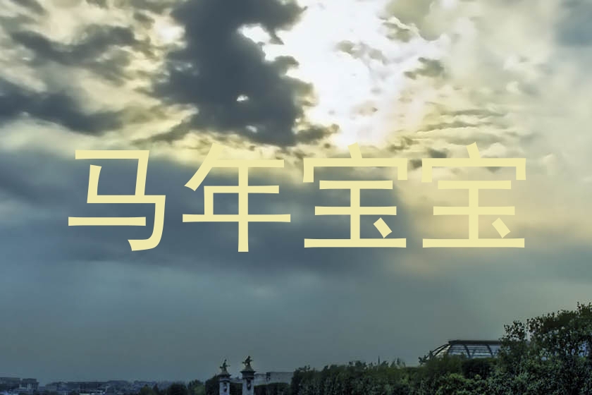 马年宝宝