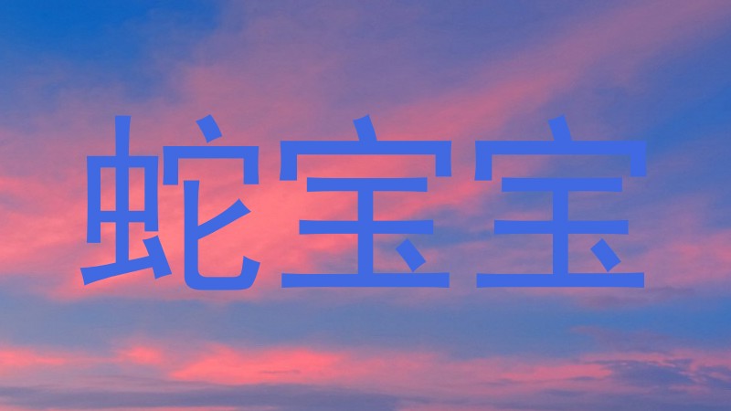 蛇宝宝