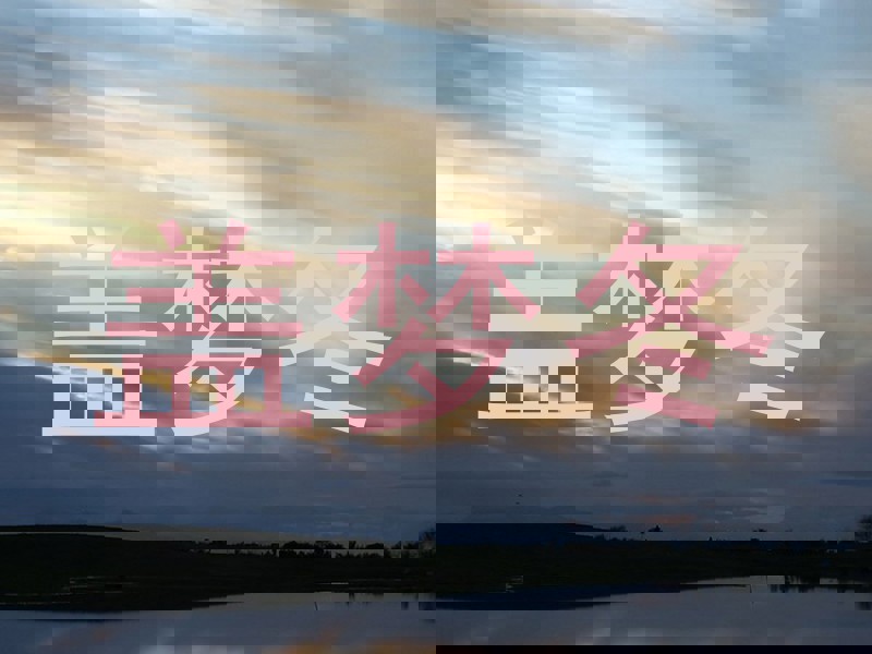 盖梦冬