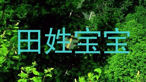 田姓宝宝