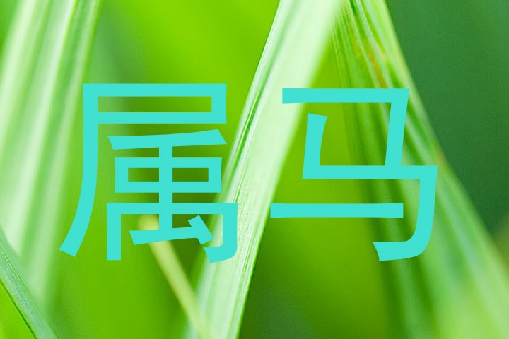 属马