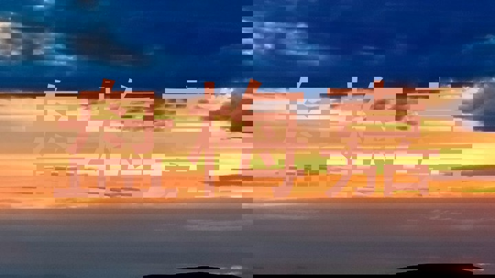 盘梅嘉