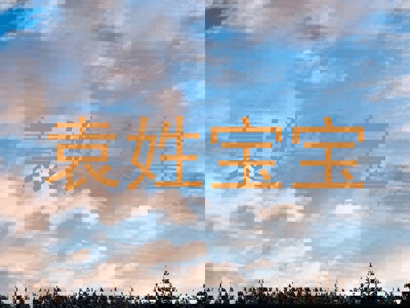 袁姓宝宝