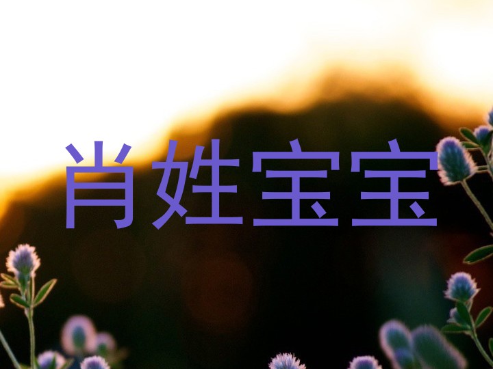 肖姓宝宝