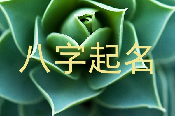 八字起名