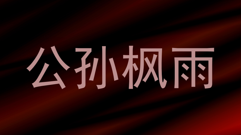 公孙枫雨