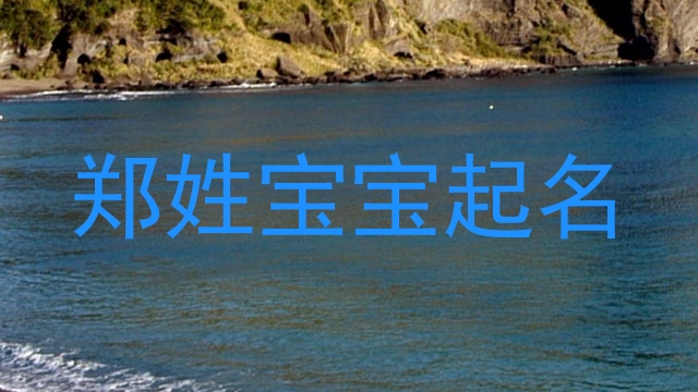 郑姓宝宝起名