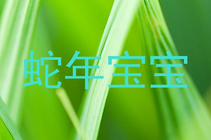 蛇年宝宝