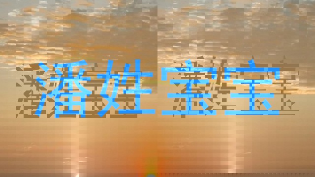 潘姓宝宝