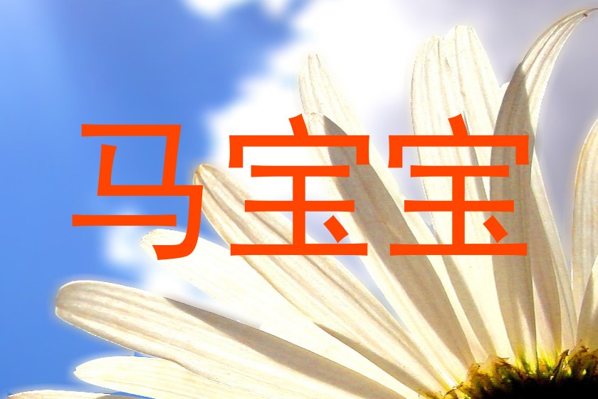 马宝宝