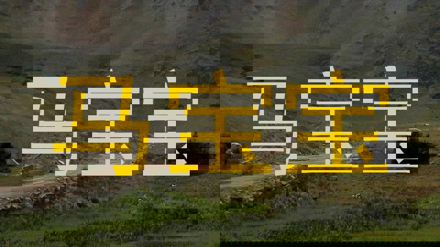 马宝宝