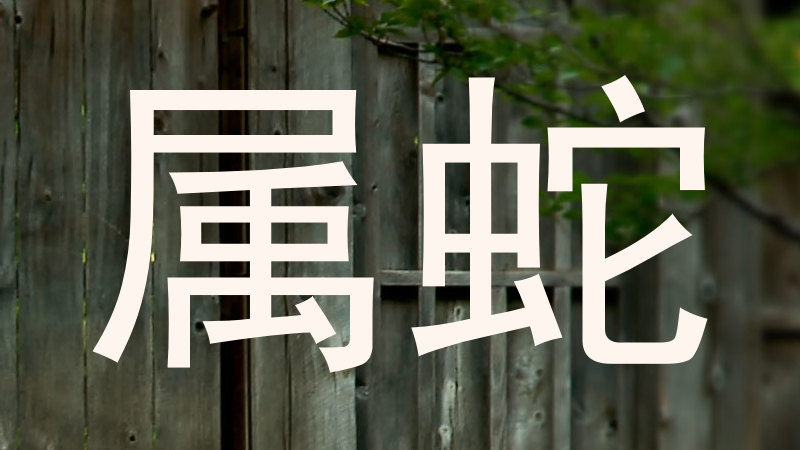属蛇