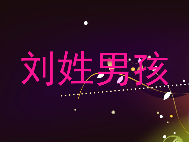 刘姓男孩