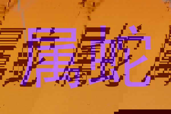属蛇