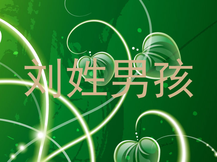 刘姓男孩