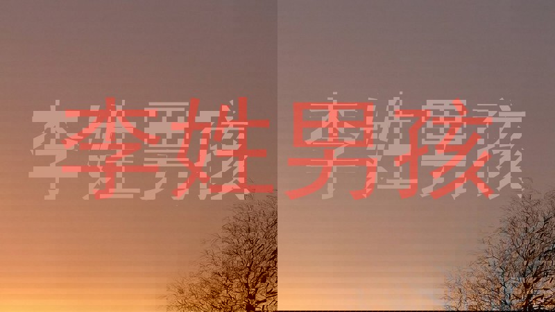 李姓男孩