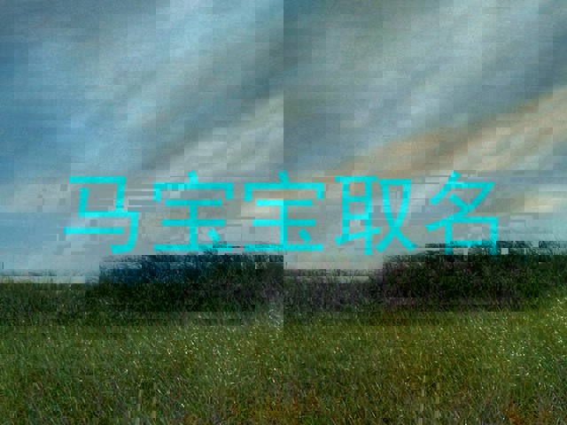 马宝宝取名
