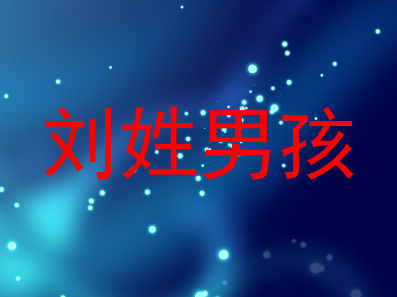 刘姓男孩