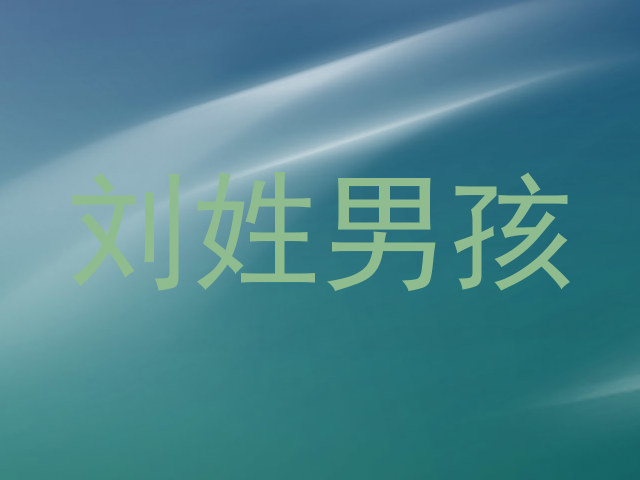 刘姓男孩
