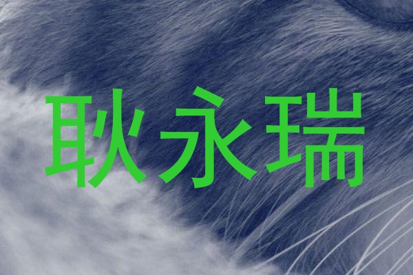 耿永瑞