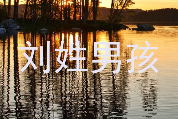 刘姓男孩