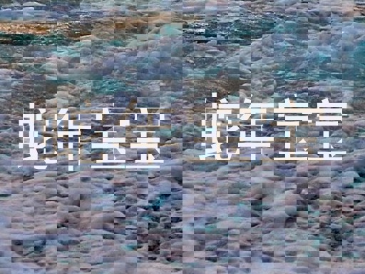 蛇年宝宝