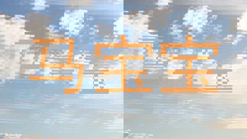 马宝宝
