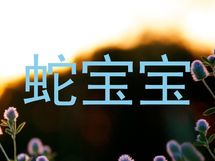 蛇宝宝