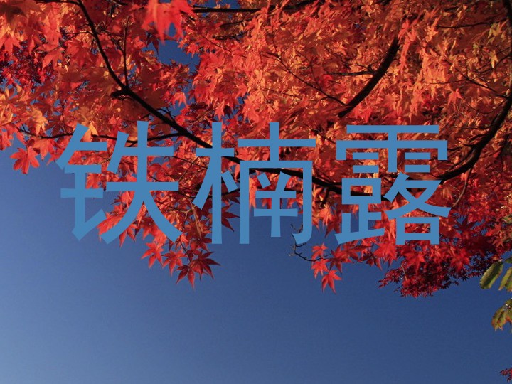 铁楠露
