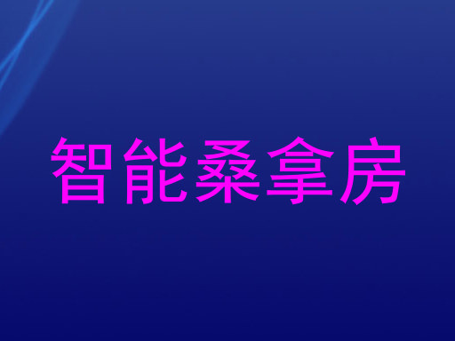 智能桑拿房