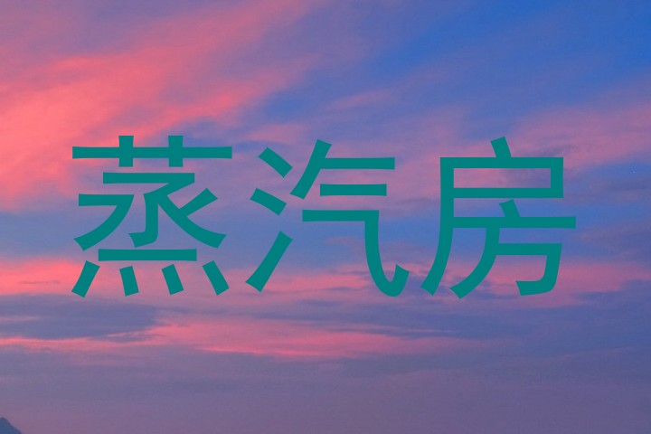 蒸汽房